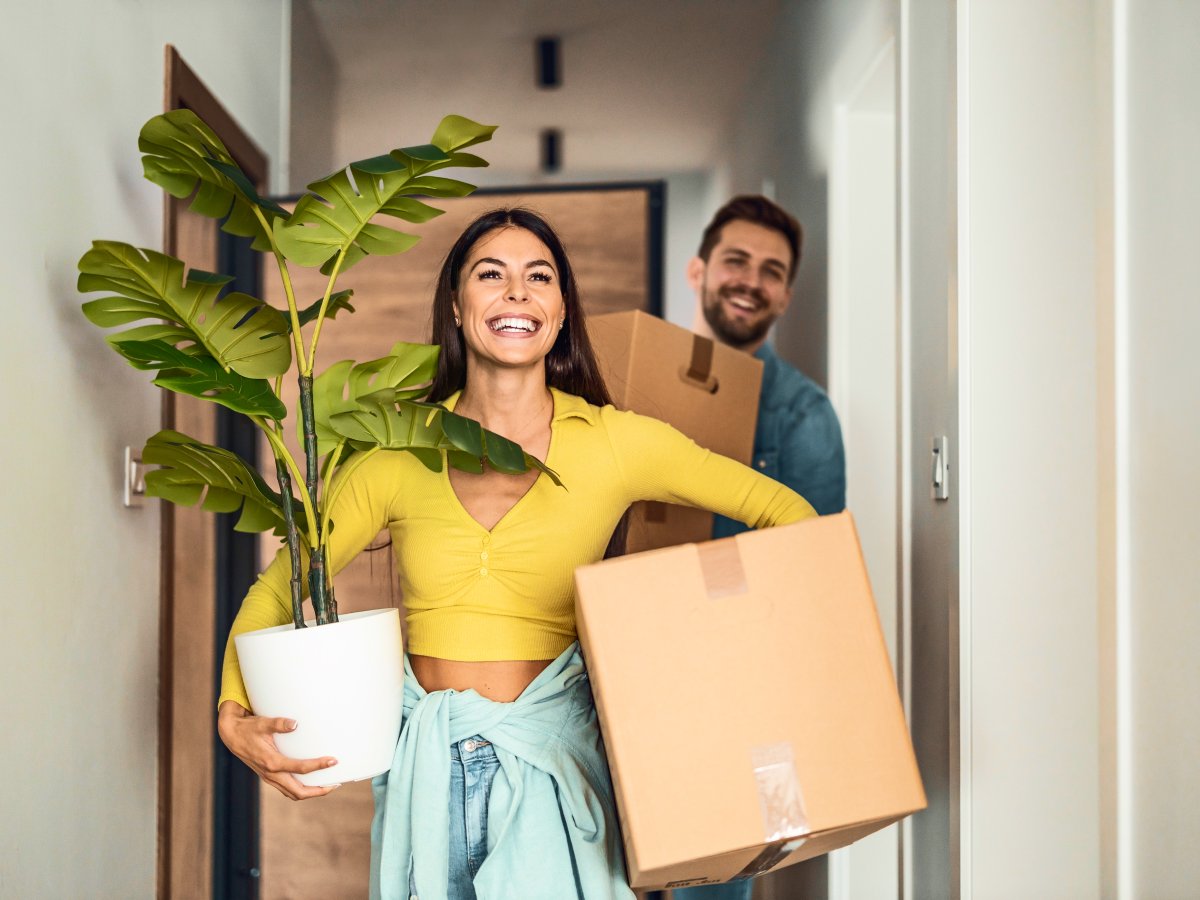 Holding a moving box and a plant