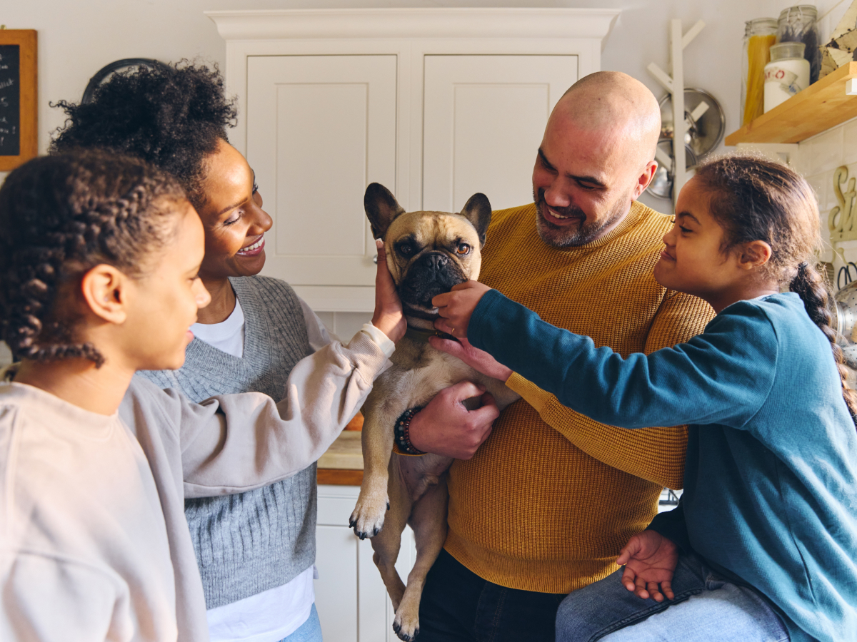 Family petting dog