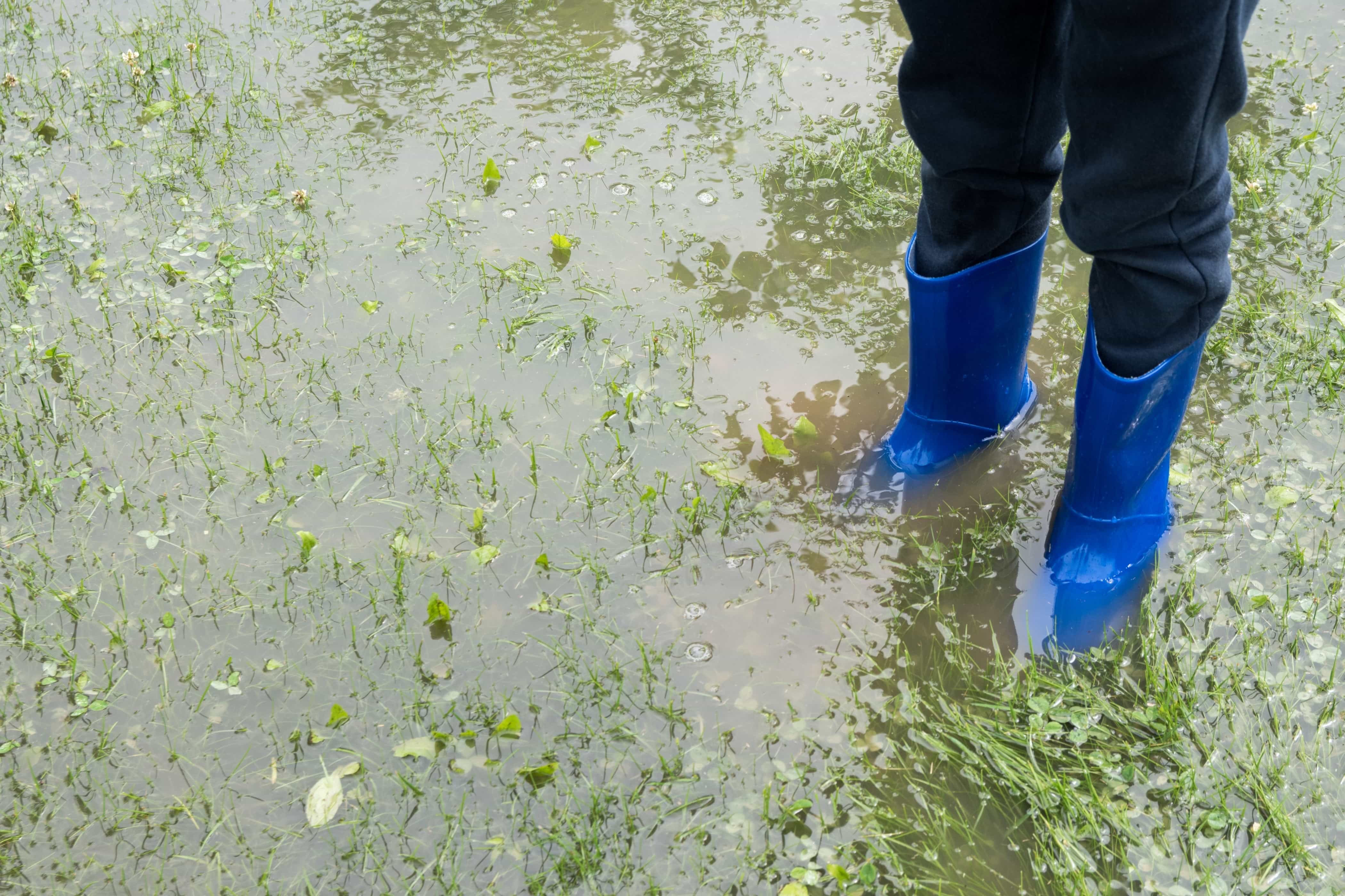 Pool of water in yard