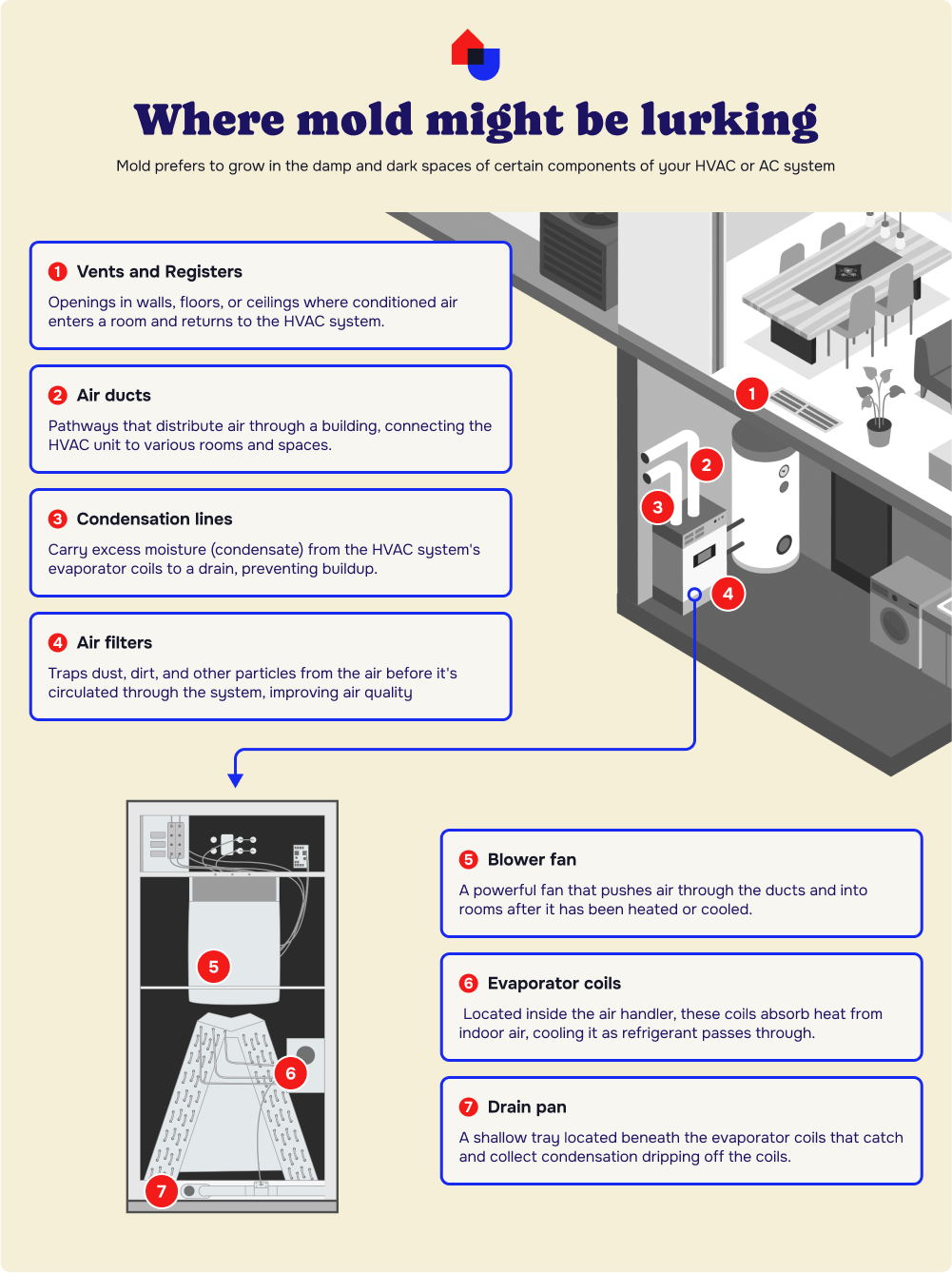 Where Mold might be