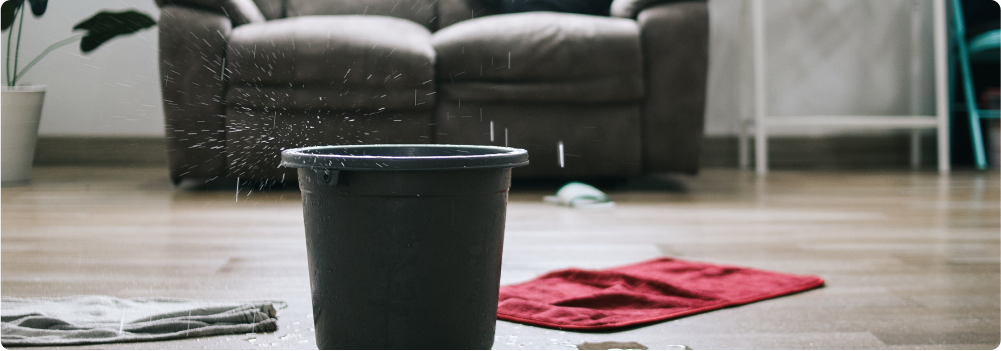 Leaky roof in the living room