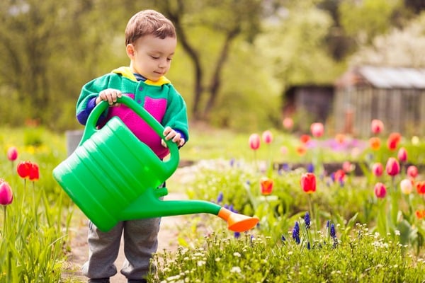 child watering plants