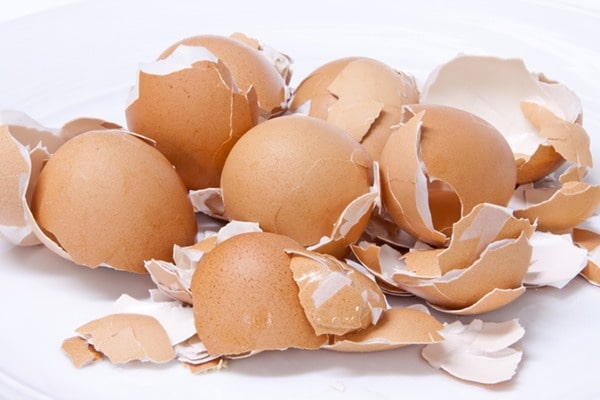 eggshells